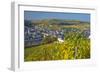 Luxembourg, Remich, Townscape, Vineyards, Autumn Colours-Chris Seba-Framed Premium Photographic Print