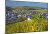 Luxembourg, Remich, Townscape, Vineyards, Autumn Colours-Chris Seba-Mounted Premium Photographic Print