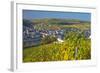 Luxembourg, Remich, Townscape, Vineyards, Autumn Colours-Chris Seba-Framed Photographic Print