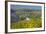 Luxembourg, Remich, Townscape, Vineyards, Autumn Colours-Chris Seba-Framed Photographic Print