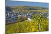 Luxembourg, Remich, Townscape, Vineyards, Autumn Colours-Chris Seba-Mounted Photographic Print