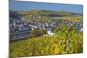 Luxembourg, Remich, Townscape, Vineyards, Autumn Colours-Chris Seba-Mounted Photographic Print