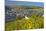 Luxembourg, Remich, Townscape, Vineyards, Autumn Colours-Chris Seba-Mounted Photographic Print