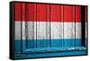 Luxemburg Flag-budastock-Framed Stretched Canvas