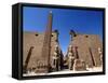 Luxor Temple, Luxor, Thebes, UNESCO World Heritage Site, Egypt, North Africa, Africa-Hans Peter Merten-Framed Stretched Canvas