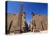 Luxor Temple, Luxor, Thebes, UNESCO World Heritage Site, Egypt, North Africa, Africa-Hans Peter Merten-Stretched Canvas