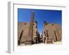Luxor Temple, Luxor, Thebes, UNESCO World Heritage Site, Egypt, North Africa, Africa-Hans Peter Merten-Framed Photographic Print