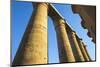 Luxor Temple, UNESCO World Heritage Site, Luxor, Egypt, North Africa, Africa-Jane Sweeney-Mounted Photographic Print