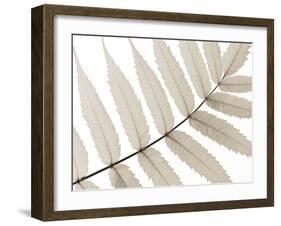 Luxurious Leaves-Assaf Frank-Framed Giclee Print