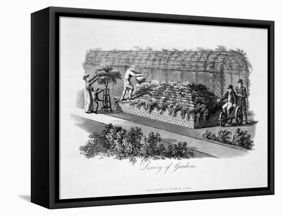 'Luxury of Gardens', 1816-Humphry Repton-Framed Stretched Canvas