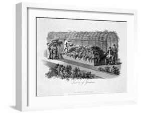 'Luxury of Gardens', 1816-Humphry Repton-Framed Giclee Print