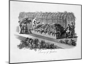'Luxury of Gardens', 1816-Humphry Repton-Mounted Giclee Print