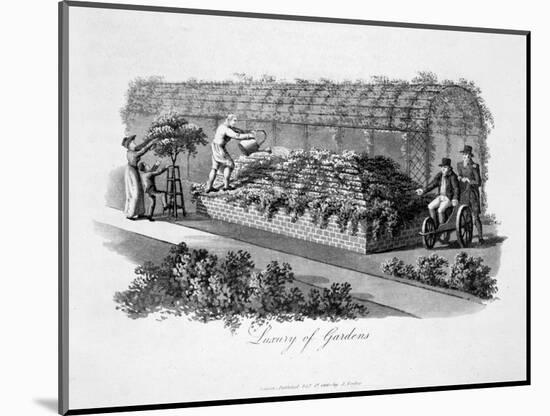 'Luxury of Gardens', 1816-Humphry Repton-Mounted Giclee Print