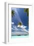 Luxury Resort in the Maldives, Indian Ocean, Asia-Sakis Papadopoulos-Framed Photographic Print