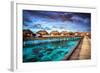 Luxury Resort, Many Cute Bungalow on the Water, Amazing View, Beautiful Coral under Transparent Wat-Anna Omelchenko-Framed Photographic Print