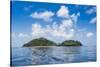 Luxury resort on Mana Island, Mamanuca Islands, Fiji, South Pacific-Michael Runkel-Stretched Canvas