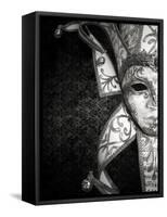 Luxury Venetian Mask-ValentinaPhotos-Framed Stretched Canvas