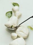 Mozzarella and Fresh Basil-Luzia Ellert-Photographic Print