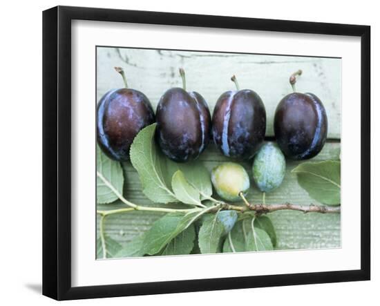 Premium Photographic Print, , large