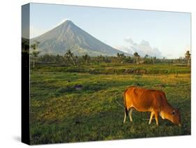Luzon Island, Bicol Province, Mount Mayon Volcano, Philippines-Christian Kober-Stretched Canvas