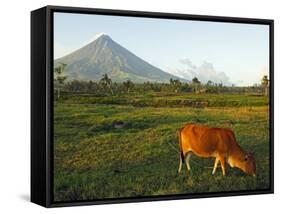 Luzon Island, Bicol Province, Mount Mayon Volcano, Philippines-Christian Kober-Framed Stretched Canvas