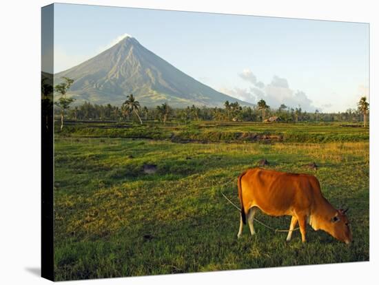 Luzon Island, Bicol Province, Mount Mayon Volcano, Philippines-Christian Kober-Stretched Canvas