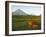 Luzon Island, Bicol Province, Mount Mayon Volcano, Philippines-Christian Kober-Framed Photographic Print