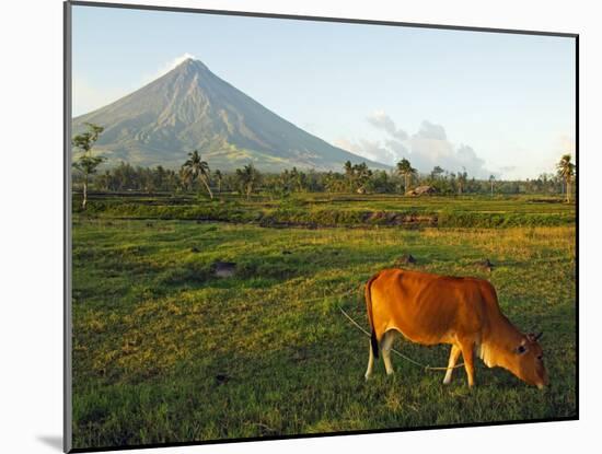 Luzon Island, Bicol Province, Mount Mayon Volcano, Philippines-Christian Kober-Mounted Photographic Print