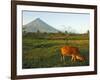 Luzon Island, Bicol Province, Mount Mayon Volcano, Philippines-Christian Kober-Framed Photographic Print