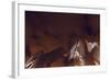 Lv Brown-Sebastien Lory-Framed Photographic Print