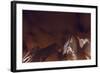 Lv Brown-Sebastien Lory-Framed Photographic Print