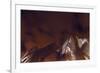 Lv Brown-Sebastien Lory-Framed Photographic Print