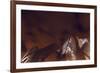 Lv Brown-Sebastien Lory-Framed Photographic Print