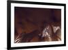 Lv Brown-Sebastien Lory-Framed Photographic Print