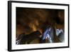 Lv Color-Sebastien Lory-Framed Photographic Print