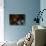 Lv Color-Sebastien Lory-Mounted Photographic Print displayed on a wall