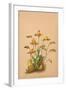 Lycaste Aromatica-H.g. Moon-Framed Art Print