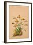 Lycaste Aromatica-H.g. Moon-Framed Art Print