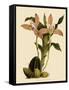 Lycaste Deppei Var Punctatissima-John Nugent Fitch-Framed Stretched Canvas