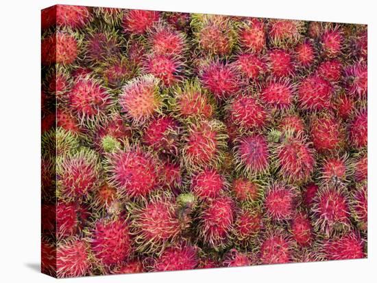 Lycee Fruits, Rambutan Fruit, Malaysia-Gavin Hellier-Stretched Canvas