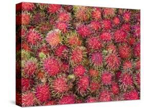 Lycee Fruits, Rambutan Fruit, Malaysia-Gavin Hellier-Stretched Canvas