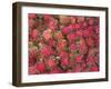 Lycee Fruits, Rambutan Fruit, Malaysia-Gavin Hellier-Framed Photographic Print