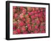 Lycee Fruits, Rambutan Fruit, Malaysia-Gavin Hellier-Framed Photographic Print