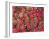 Lycee Fruits, Rambutan Fruit, Malaysia-Gavin Hellier-Framed Photographic Print