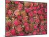 Lycee Fruits, Rambutan Fruit, Malaysia-Gavin Hellier-Mounted Photographic Print