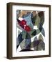 Lychnis-Daniela Fedele-Framed Art Print