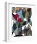 Lychnis-Daniela Fedele-Framed Art Print