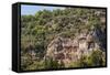 Lycian tombs, Dalyan, Mugla Province, Anatolia, Turkey, Asia Minor, Eurasia-Matthew Williams-Ellis-Framed Stretched Canvas