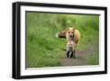 Black Frame