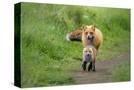 Stretched Canvas